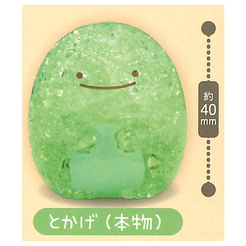 Sumikkogurashi Kira! Pika! Crash Light Mascot [6.Tokage (hommono)]