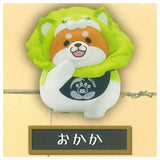 Vegetable fairy x Chuken Mochishiba Figure [2.Okaka]