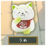 Vegetable fairy x Chuken Mochishiba Figure [4.Ume]