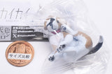 Gray meron Kaikai [2.Beagle]