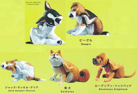 Gray meron Kaikai [All 5 type set(Full Complete)]