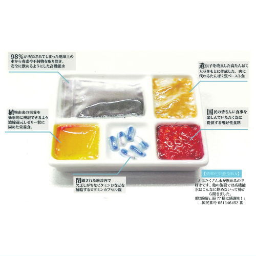 1/12 Dystopia Meals [1.Efficient Nutritional Food A]