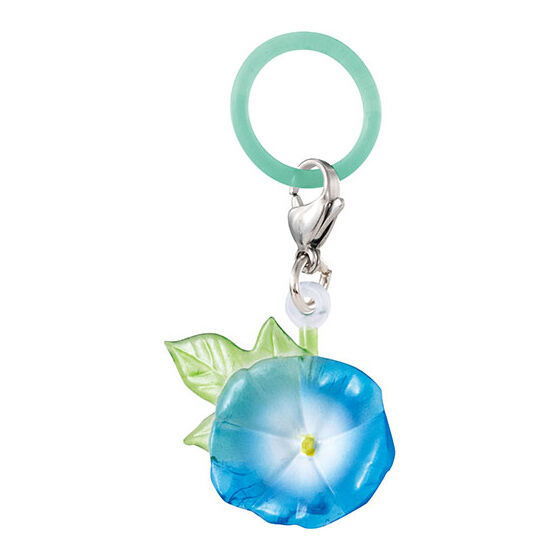 Flower language for you Mejirushi Accessory [4.Morning glory B (fleeting love)]