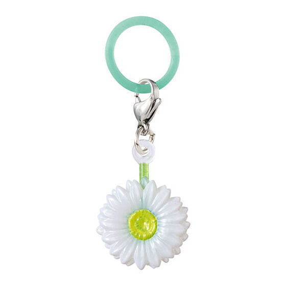 Flower language for you Mejirushi Accessory [6.Gerbera (hope)]