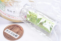 Miniature Fruit Collagen Jelly Mascot [1.Muscat]
