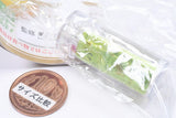 Miniature Fruit Collagen Jelly Mascot [1.Muscat]