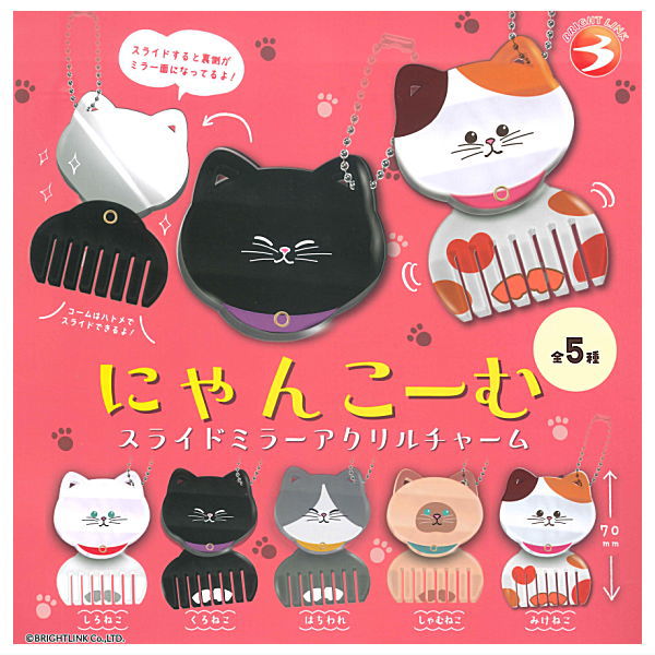 Nyancomb Slide Mirror Acrylic Charm [All 5 type set(Full Complete)]