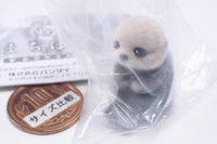 Fuwahowa Machiboke Baby [1.Baby sea otter]