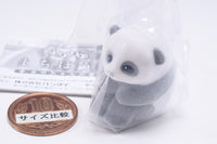 Fuwahowa Machiboke Baby [4.Baby panda]