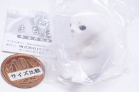 Fuwahowa Machiboke Baby [5.Baby seal]
