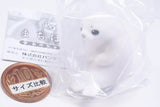 Fuwahowa Machiboke Baby [5.Baby seal]