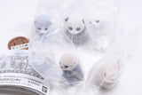 Fuwahowa Machiboke Baby [All 5 type set(Full Complete)]