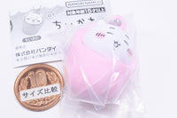 Chiikawa Okurumi mascot charm [1.Chiikawa]