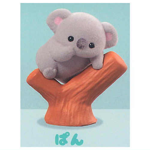 Baby Koala [2.Pan]