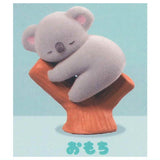 Baby Koala [4.Omochi]