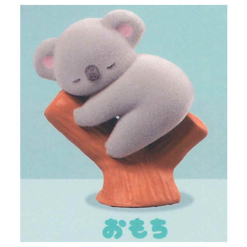 Baby Koala [4.Omochi]