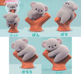Baby Koala [All 5 type set(Full Complete)]