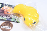 Leopard gecko molting...  [1.Yellow]
