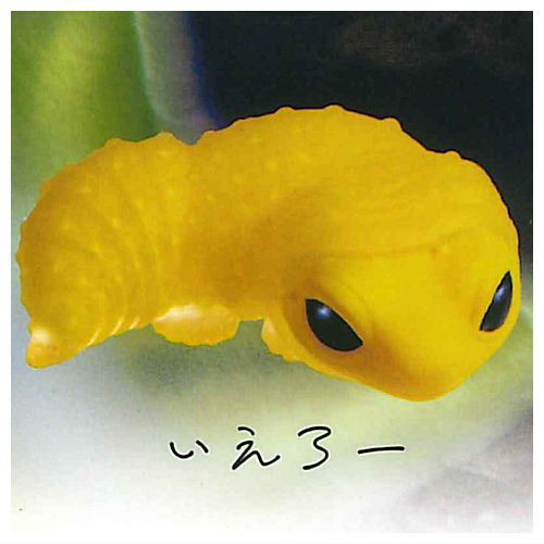 Leopard gecko molting...  [1.Yellow]