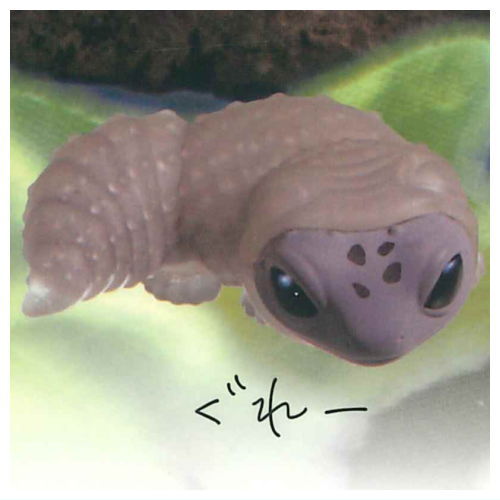 Leopard gecko molting...  [3.Grey]