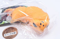Leopard gecko molting...  [5.Orange]