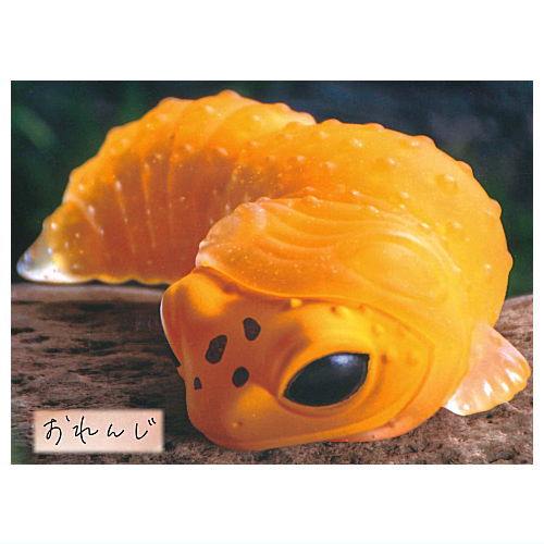 Leopard gecko molting...  [5.Orange]