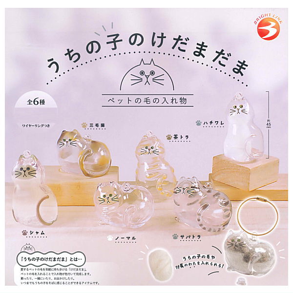 Uchinokono kedamadama [All 6 type set(Full Complete)]