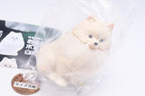 Hikaru kubiwa o tsuketa Osanpo pomeraito Pomelight [2.Cream]