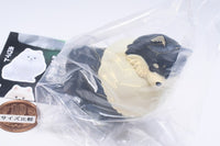 Hikaru kubiwa o tsuketa Osanpo pomeraito Pomelight [5.Black & Tan]
