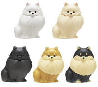 Hikaru kubiwa o tsuketa Osanpo pomeraito Pomelight [All 5 type set (Full Complete)]