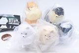 Hikaru kubiwa o tsuketa Osanpo pomeraito Pomelight [All 5 type set (Full Complete)]