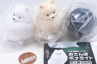 Hikaru kubiwa o tsuketa Osanpo pomeraito Pomelight [Assorted 3 type set (1.White/2.Cream/3.Black)]
