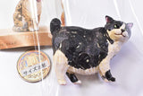 ART IN THE POCKET Hashimoto Mio Cat Carving Part.2 [3.Kotetsu-kun]