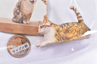 ART IN THE POCKET Hashimoto Mio Cat Carving Part.2 [4.Chimi-chan]