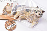 ART IN THE POCKET Hashimoto Mio Cat Carving Part.2 [5.Moi-kun]