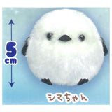 Fukufuku Shimaenaga stuffed toy [1.Shima-chan]