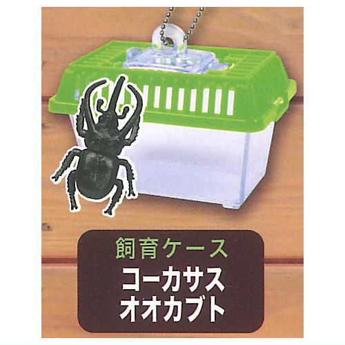 Konchu Mushikago Mascot Part.8 [4.Caucasus beetle (Breeding case)]