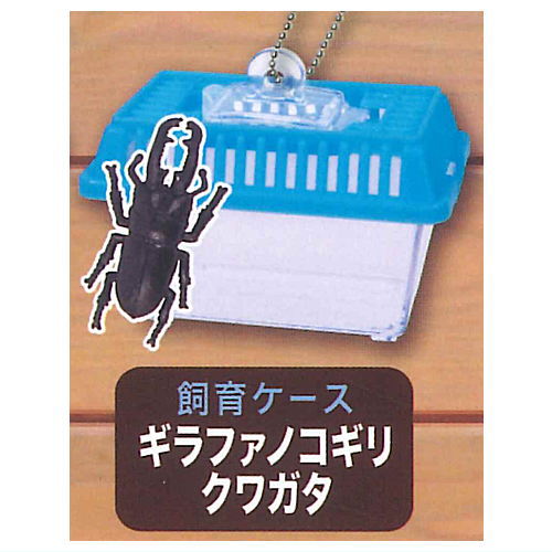 Konchu Mushikago Mascot Part.8 [5.Girafanokogirikuwagata (Breeding case)]