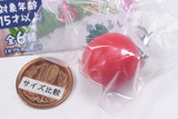 Obentononakami mejirushi accessory [5.Cherry Tomato]