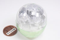 CASIO Watch Ring Collection 1st Edition [2.DBC-611-1]