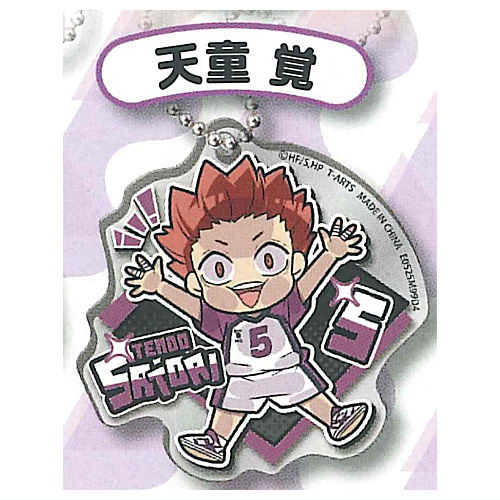 Pita! Deforme Haikyu!! Acrylic Keychain Vol.2 [8.Satori Tendo]