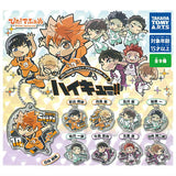 Pita! Deforme Haikyu!! Acrylic Keychain Vol.2 [All 9 type set(Full Complete)]