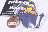 Haikyu!! x MIKASA Character Rubber Collection Part.2 [1.Hinagarasu]