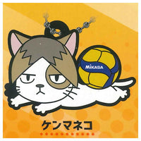 Haikyu!! x MIKASA Character Rubber Collection Part.2 [5.Kenmaneko]