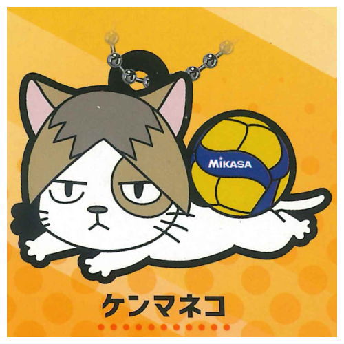 Haikyu!! x MIKASA Character Rubber Collection Part.2 [5.Kenmaneko]