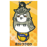 Haikyu!! x MIKASA Character Rubber Collection Part.2 [7.Bokutofukuro]