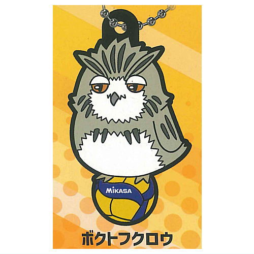 Haikyu!! x MIKASA Character Rubber Collection Part.2 [7.Bokutofukuro]