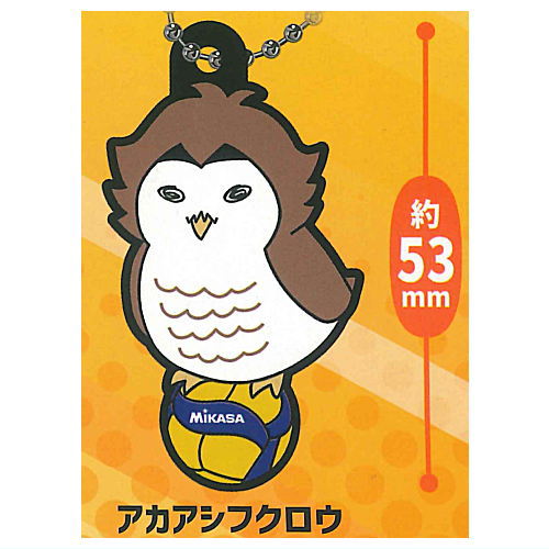 Haikyu!! x MIKASA Character Rubber Collection Part.2 [8.Akaashifukuro]