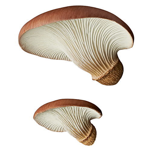 Nature Techni colour MONO PLUS Glowing mushroom magnet [2.Tsukiyotake]