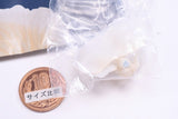 Nature Techni colour MONO PLUS Glowing mushroom magnet [3.Shirohikaritake]